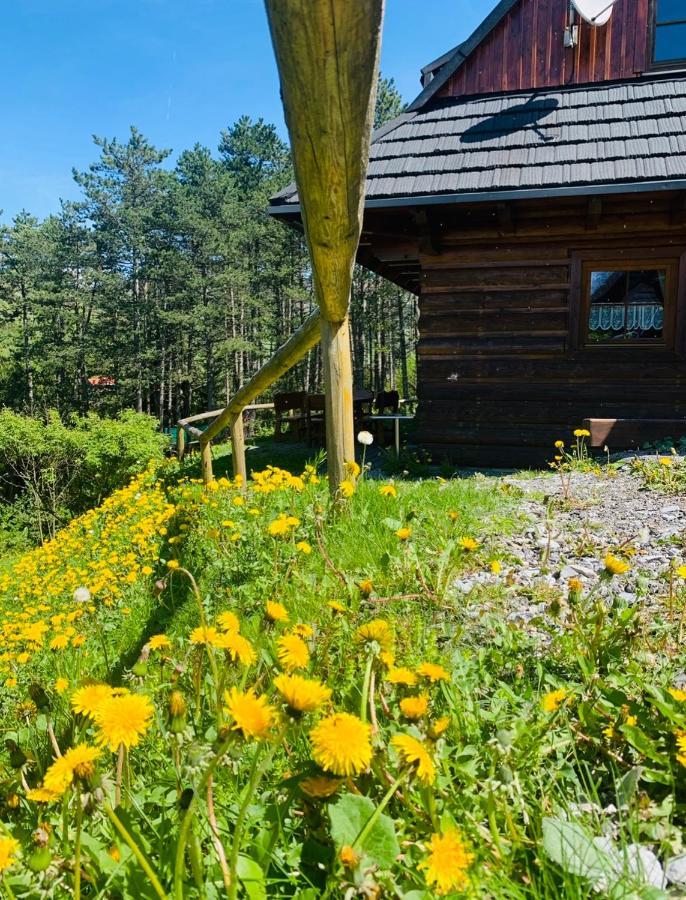 Villa Drevenica Uhorcik Terchová Exterior foto